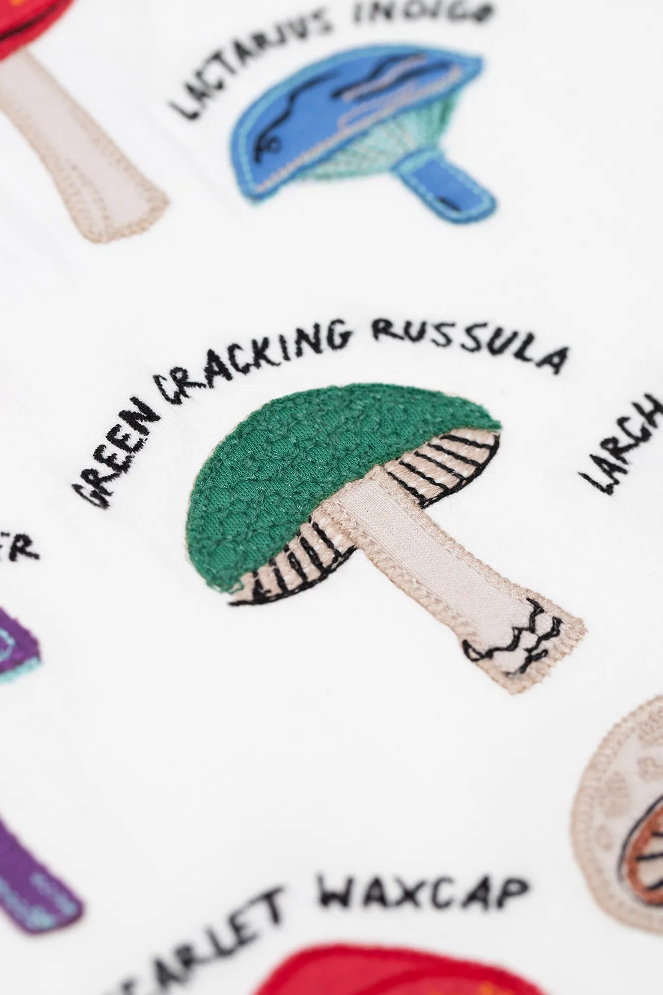 Longsleeve / Ace Applique Top Mushroom - Frugi