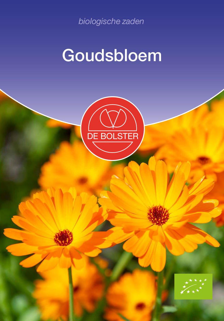 Goudsbloem biologische zaden - De Bolster