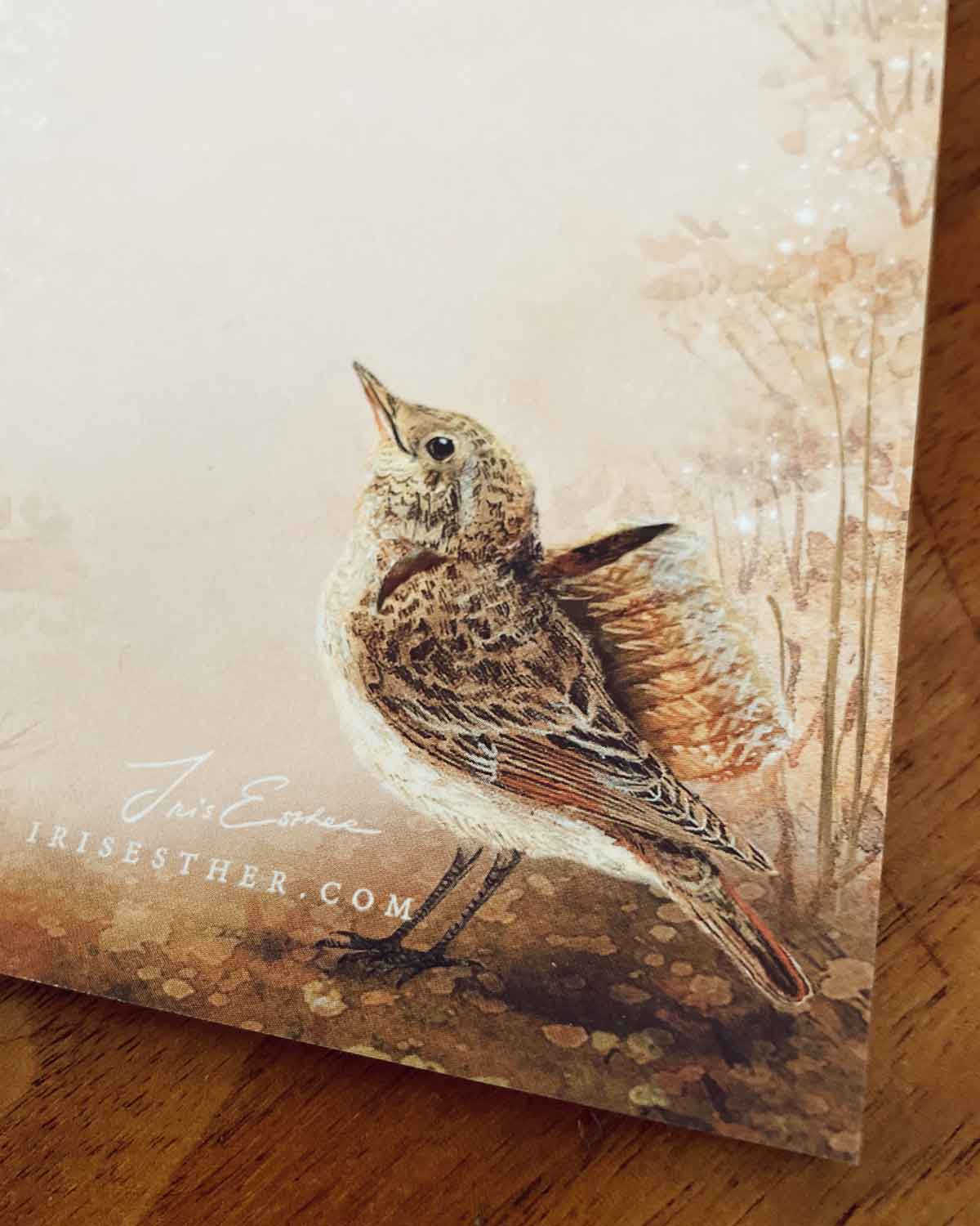 Featherlight List Noteblock - Iris Esther