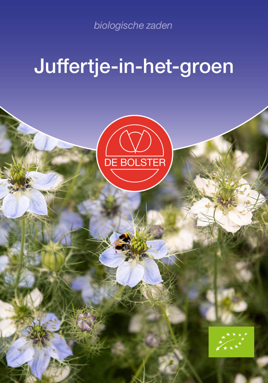 Juffertje-in-het-groen biologische zaden - De Bolster