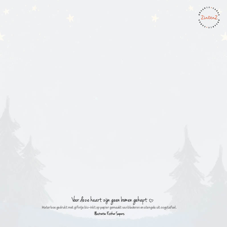 Eco Kerstkaarten Set 22 Esther 6 st. + 9 stickers – Zintenz