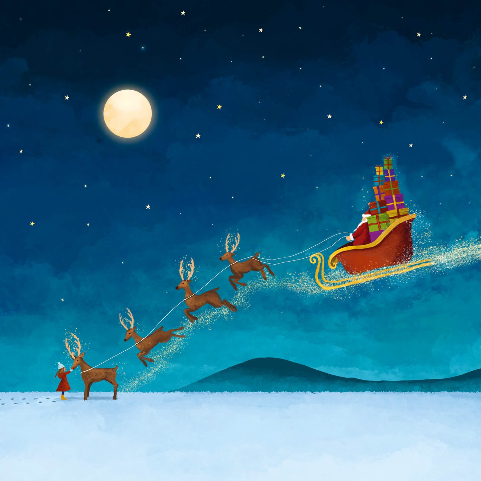 Eco Kerstkaarten Set 21 Lance 6 st. + 9 stickers – Zintenz