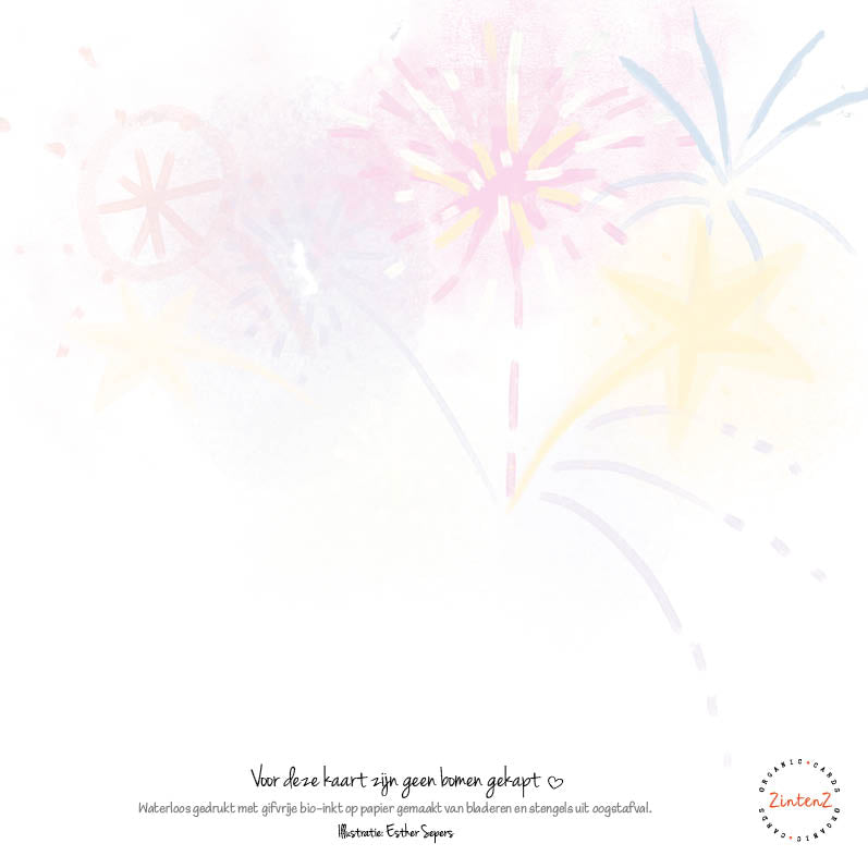 Eco Nieuwjaarskaarten 6 st. + 9 stickers – Zintenz