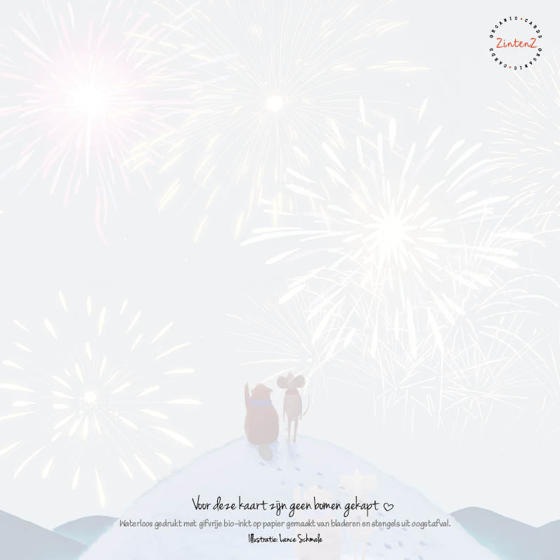 Eco Nieuwjaarskaarten 6 st. + 9 stickers – Zintenz