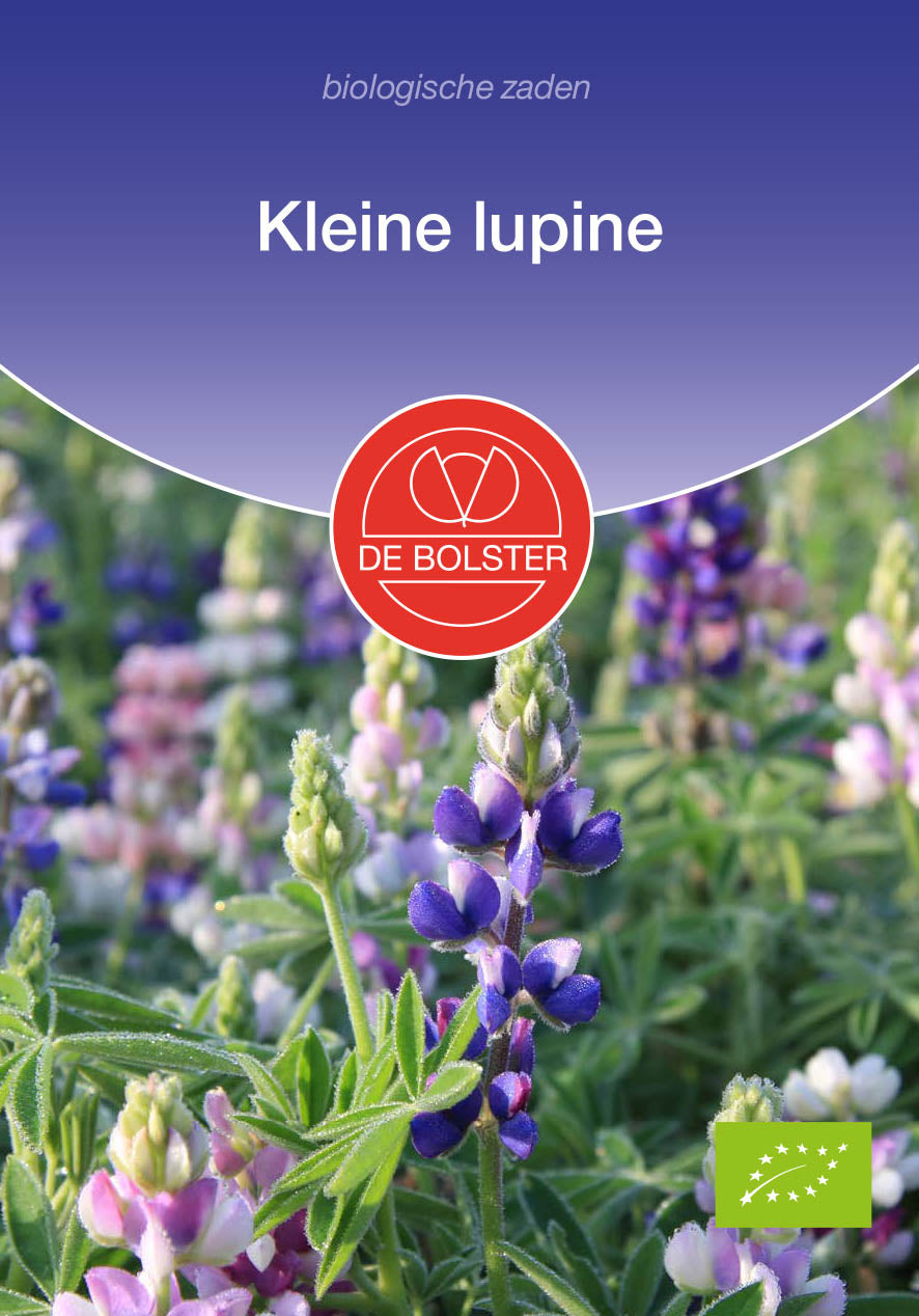 Kleine Lupine biologische zaden - De Bolster