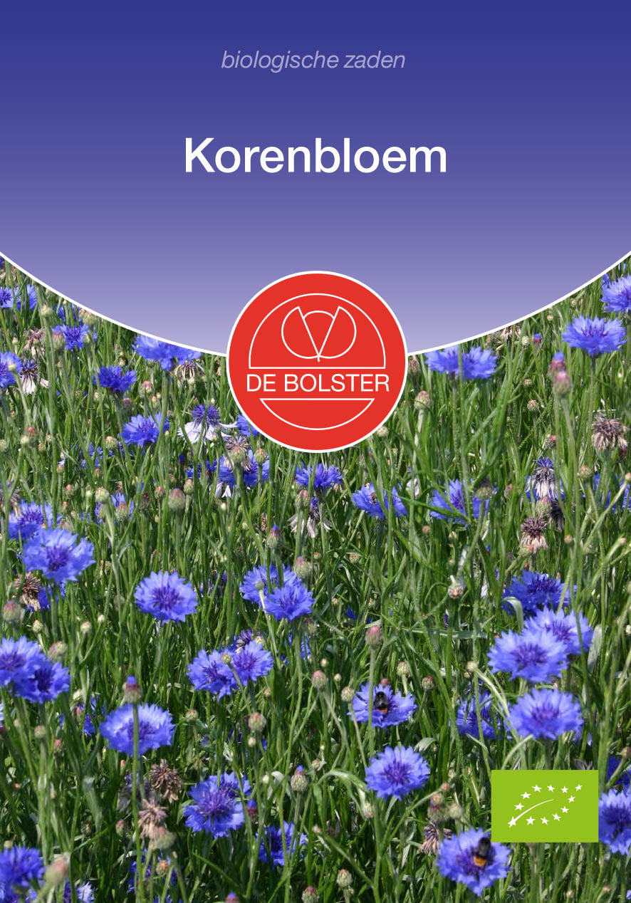 Korenbloem biologische zaden - De Bolster