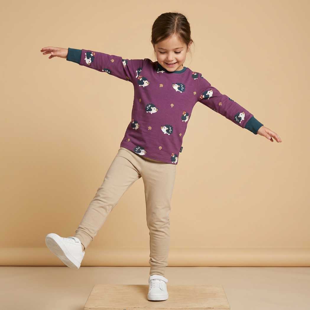 Longsleeve Top LS Hedgehog - Maxomorra