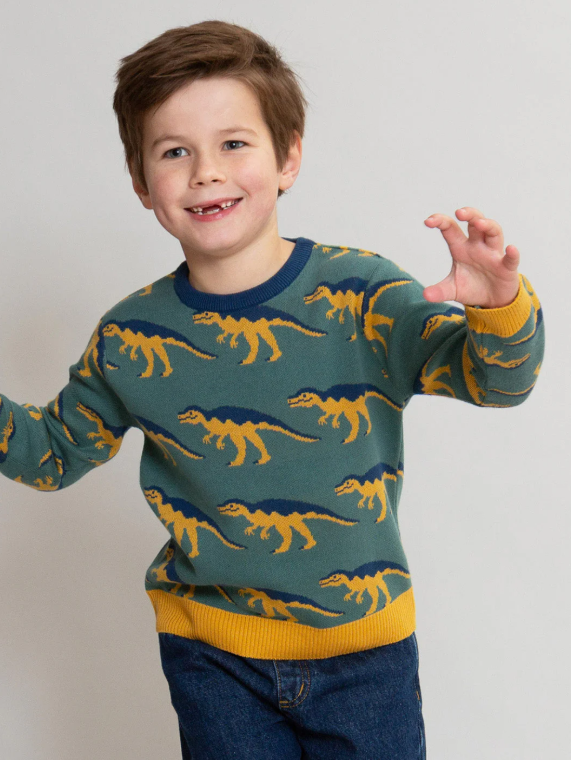 Trui "Dino" Big Ally Jumper - Kite Clothing