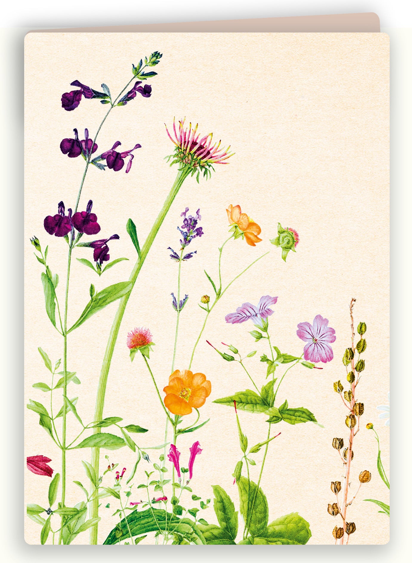 Wenskaart Wilde Bloemen – Zintenz Organic Cards