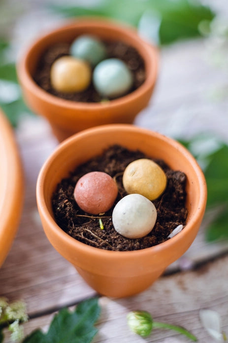 Zaadbommetjes Weggeefcadeautje "Thank you" - Blossombs