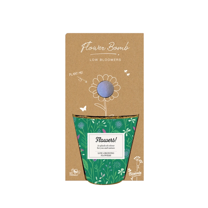 Grow kit met zaadbommetje "Flowers" - Blossombs