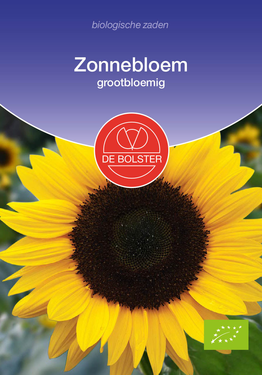 Zonnebloem grootbloemig biologische zaden - De Bolster