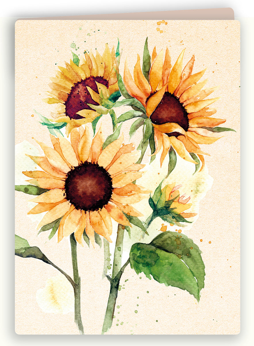Wenskaart Zonnebloemen – Zintenz Organic Cards