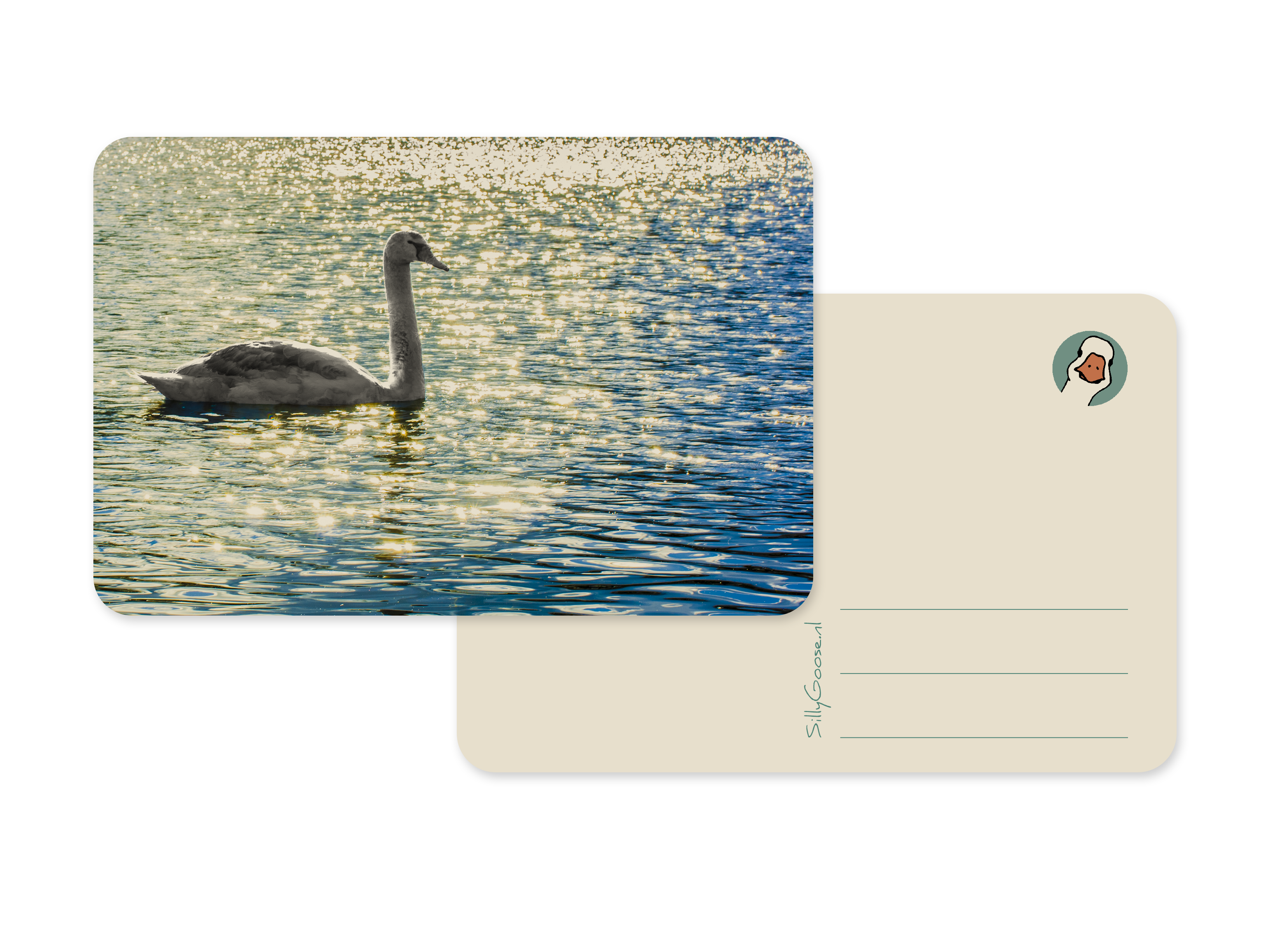 Postkaart Zwaan - Silly Goose