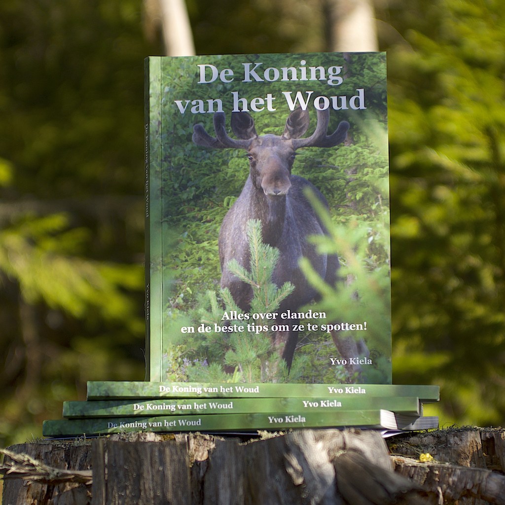 De Koning van het Woud: Alles over elanden en de beste tips om ze te spotten - Yvo Kiela