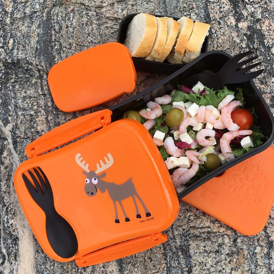 N'ice Box Kids Lunchbox met koelelement – Moose Orange – Carl Oscar
