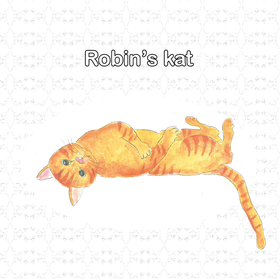 Kleurboek / prentenboek Robin’s kat – - Silly Goose