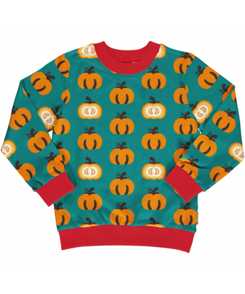 Trui / Sweater Lined Garden Pumpkin - Maxomorra