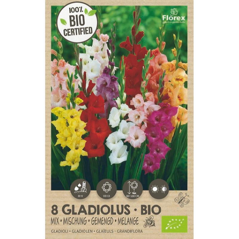 Bio Gladiool Grandiflora mix 8st - Florex