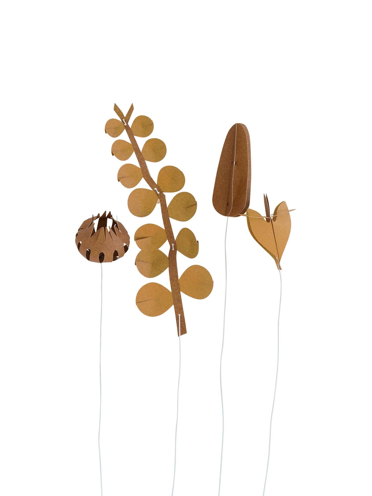 FIELD flowers – small browns – Jurianne Matter