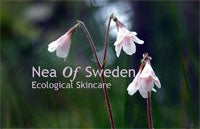 All Natural & Vegetable Soap & Shampoo Bar Chamomile – Nea of Sweden