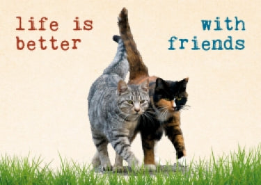 Wenskaart Life is better with friends – Zintenz Organic Cards